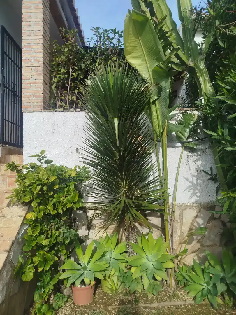 Jardín de Casa o chalet en venta en Dénia con Aire acondicionado y Balcón