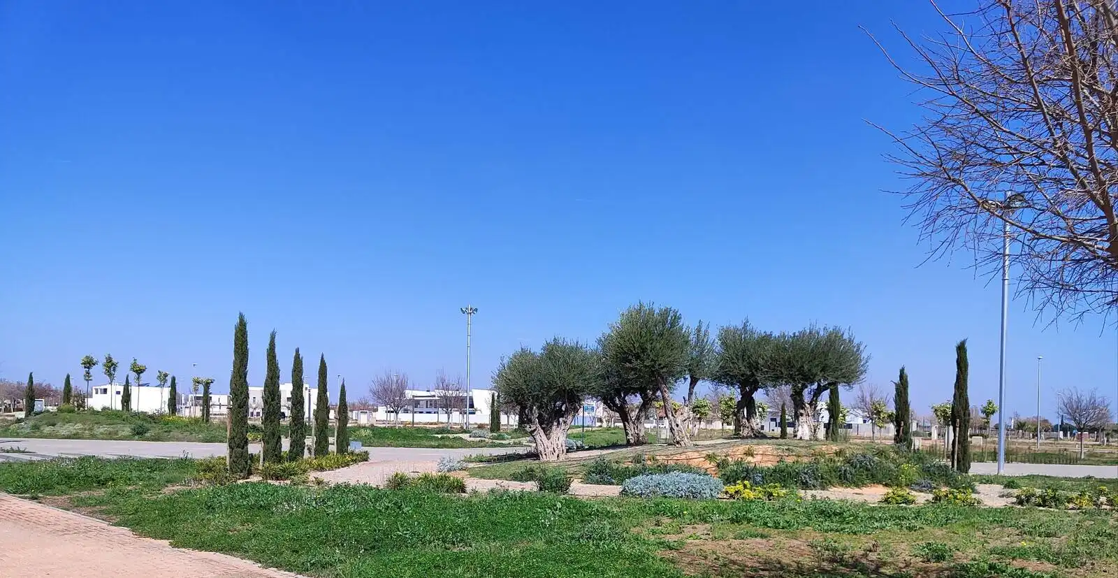 Apartamento con terraza en venta en Torre-Pacheco ciudad, imagen 3