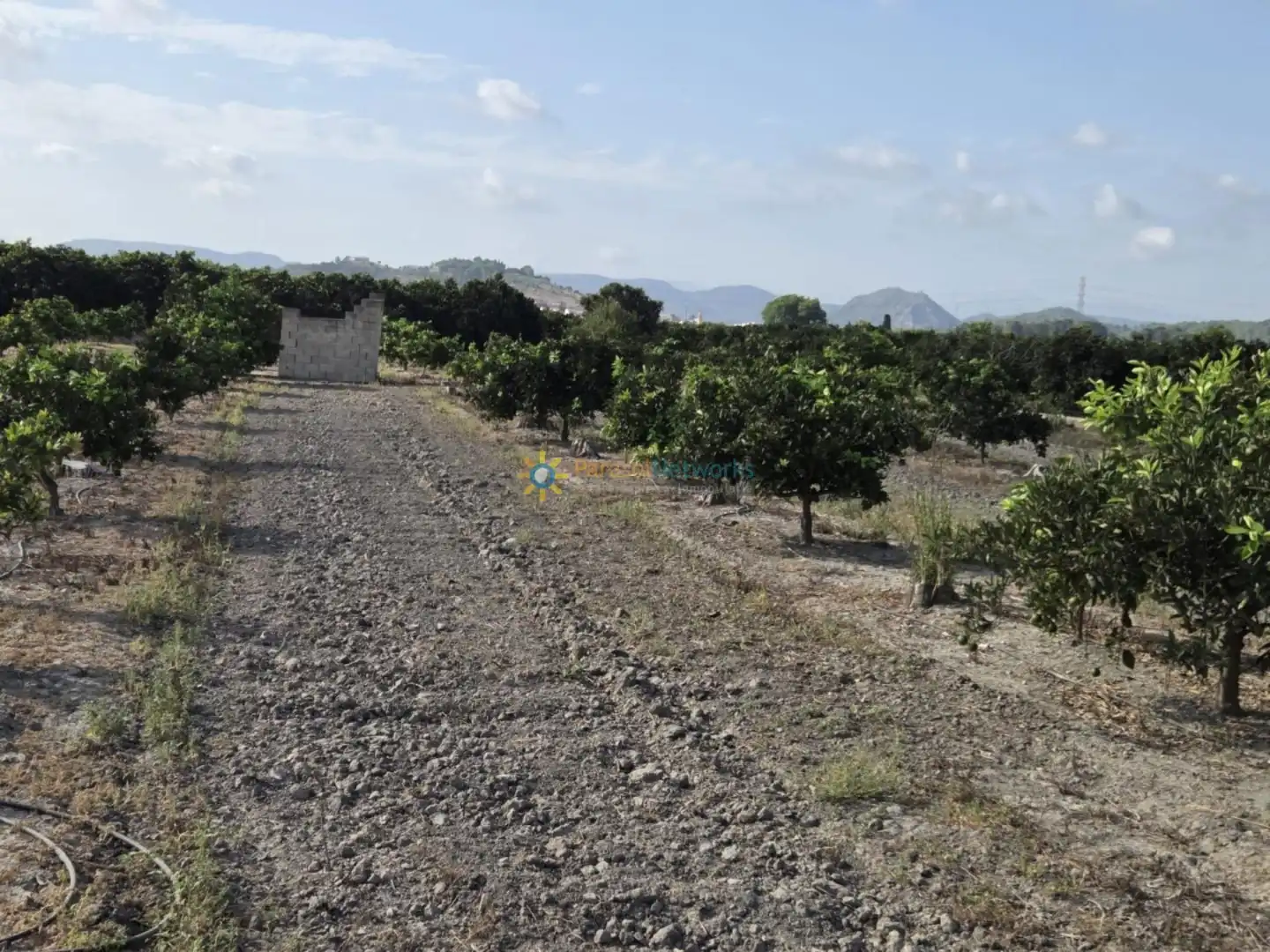 Finca rústica en venta en Senyera con Jardín privado y Terraza
