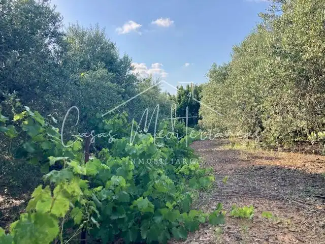Country house for sale in Riudoms, imagen 18