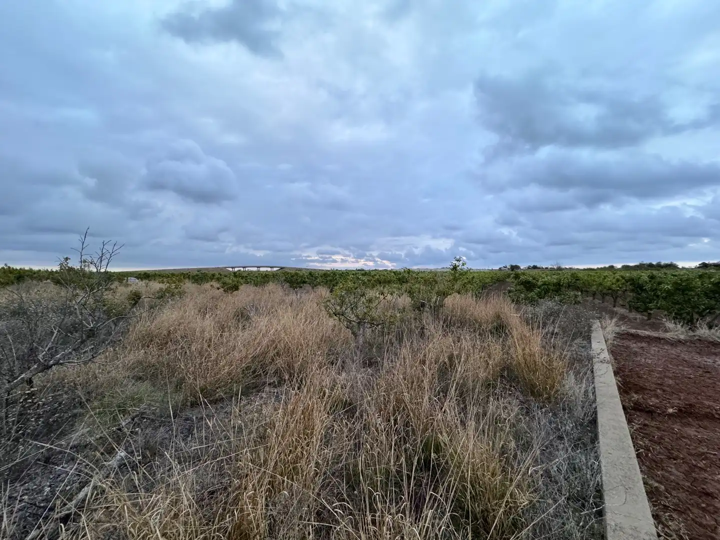 Terrenos y solares en venta en Polígono 10 Parcela 62, imagen 7