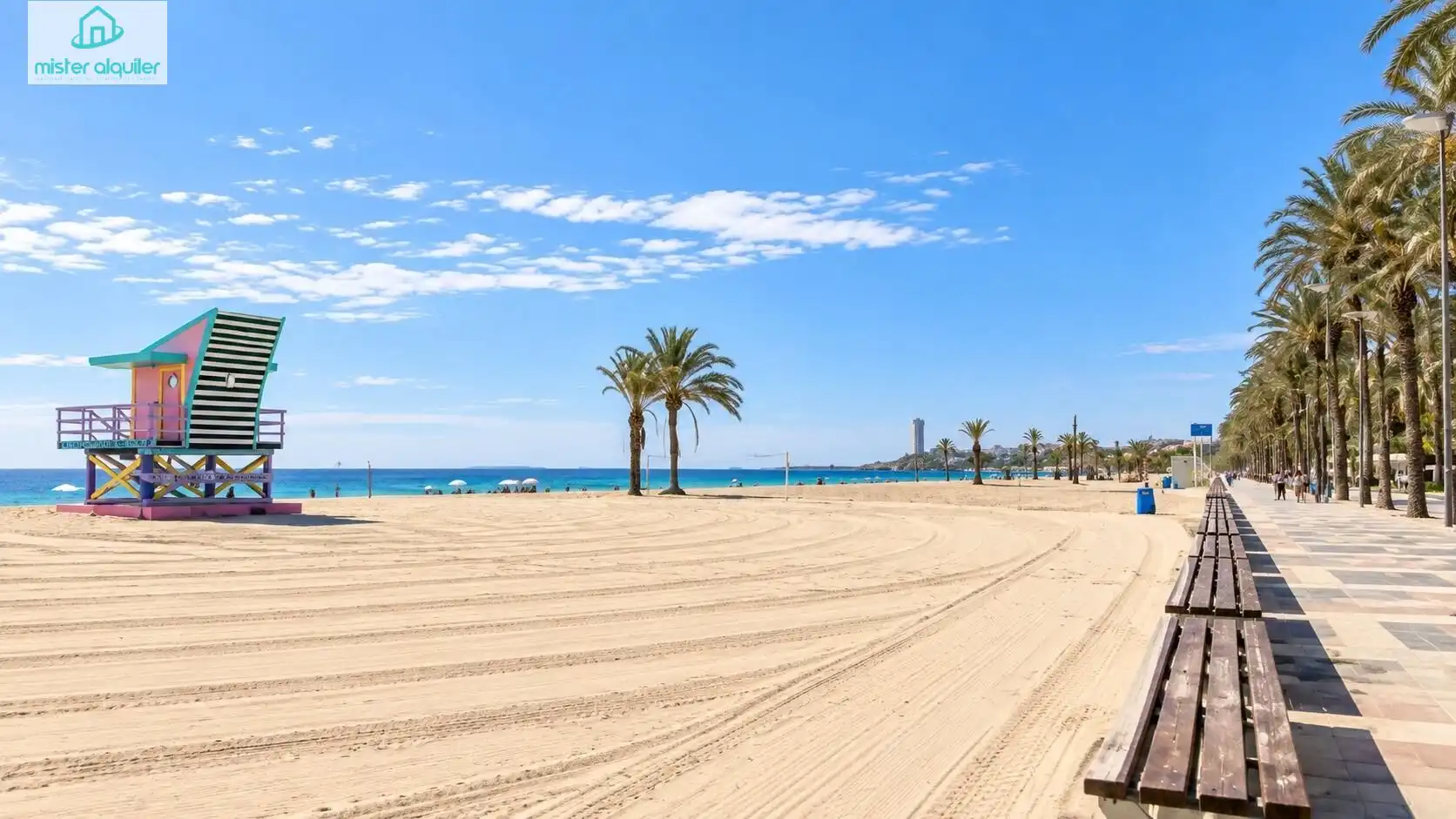 Mini appartamento con terrazza in affitto a Avenida de la Costa Blanca 113, imagen 33