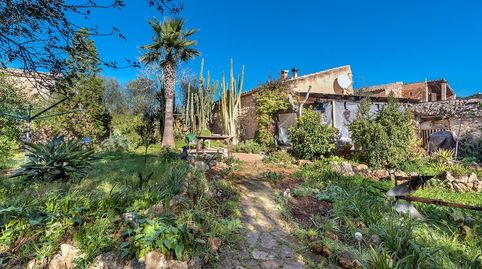 Photo 2 of Country homes for rent in Campos poble, Campos