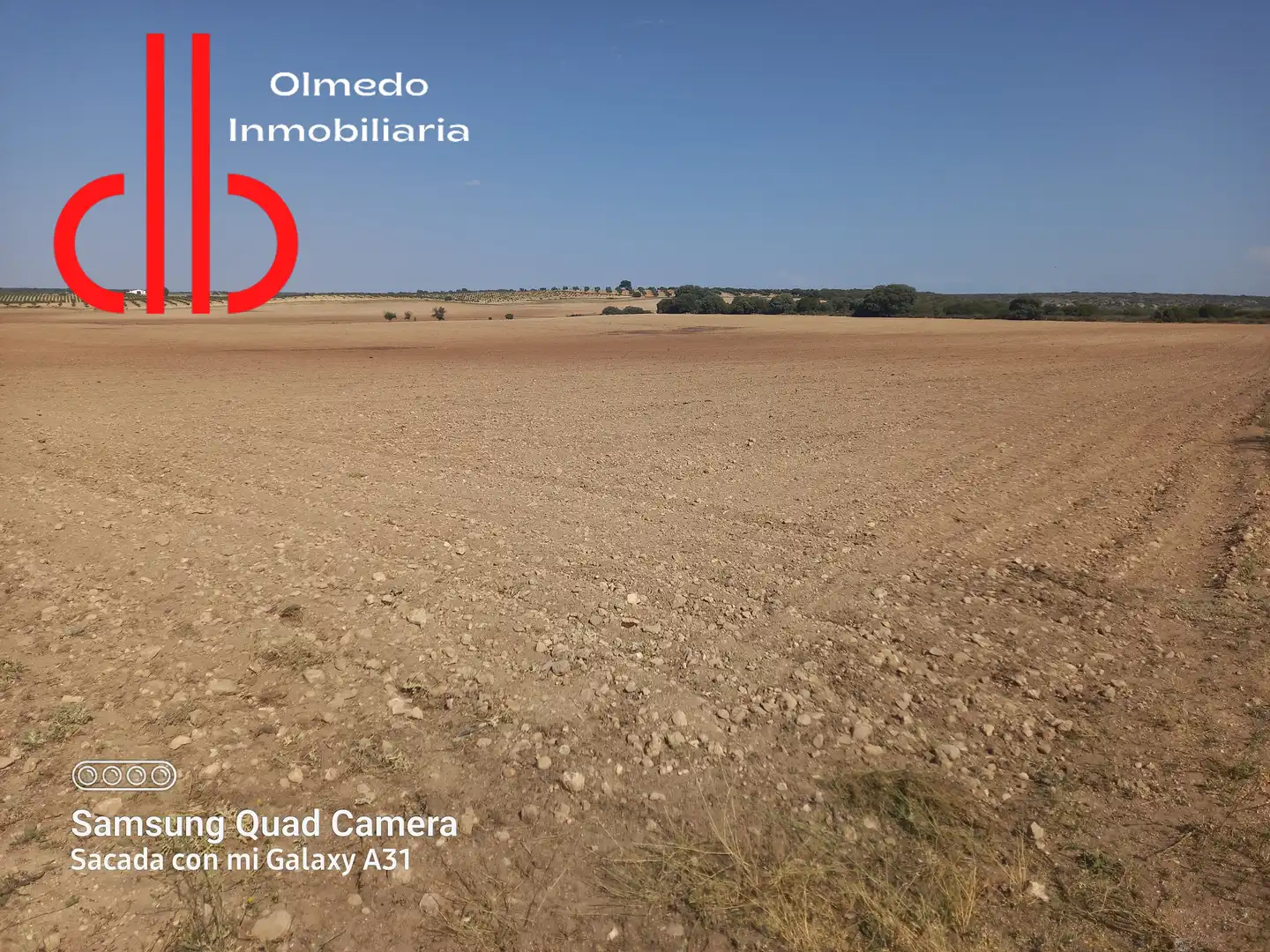 Rustikales Grundstück zum Verkauf in Tomelloso, imagen 14