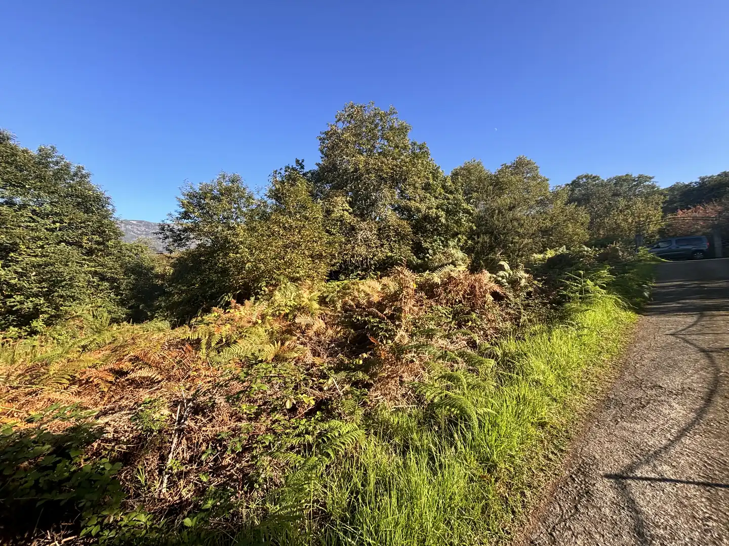 Terreno rustico in vendita a Lugar el Balayo, imagen 17