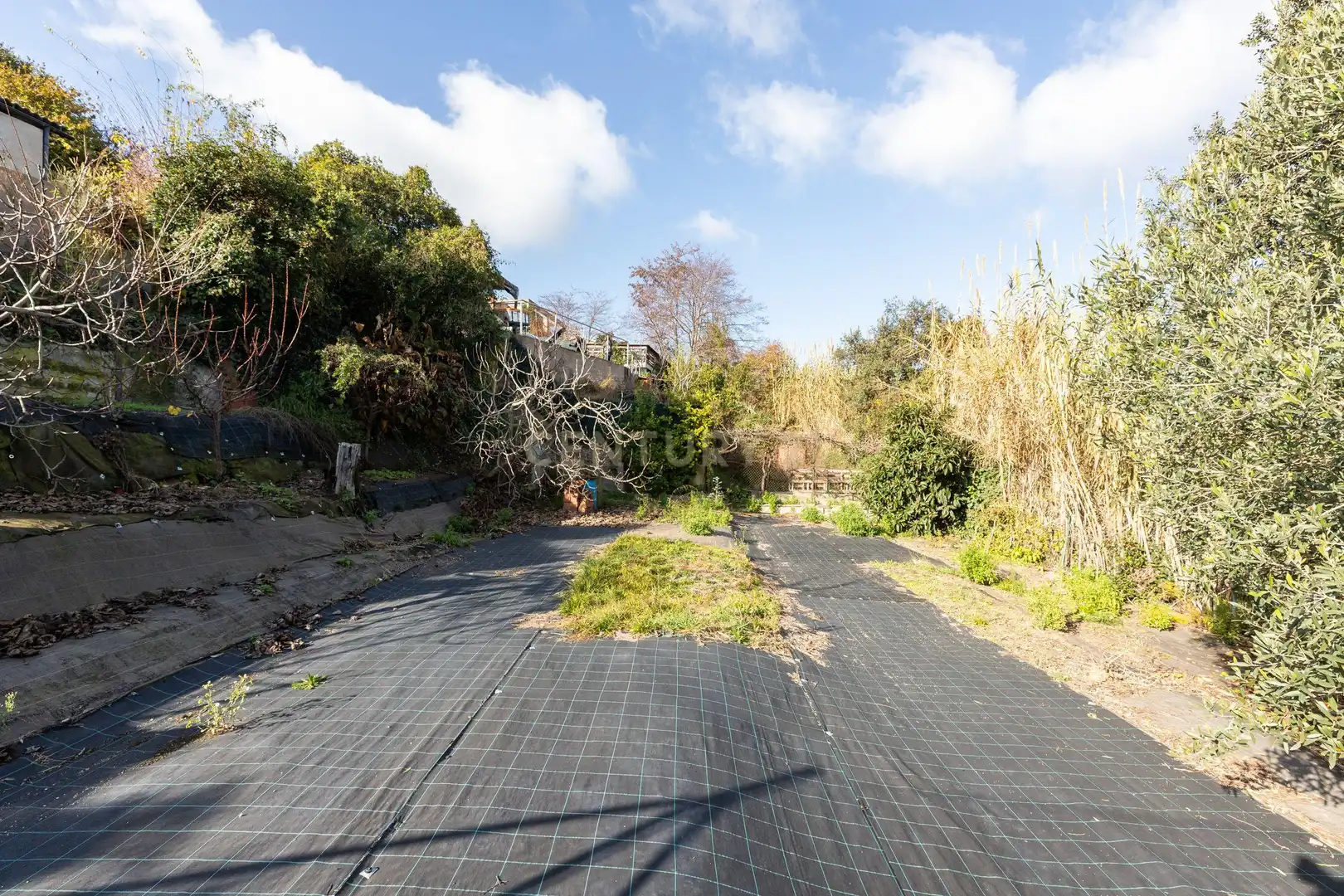 Vista exterior de Casa o xalet en venda en Fogars de la Selva amb Jardí privat
