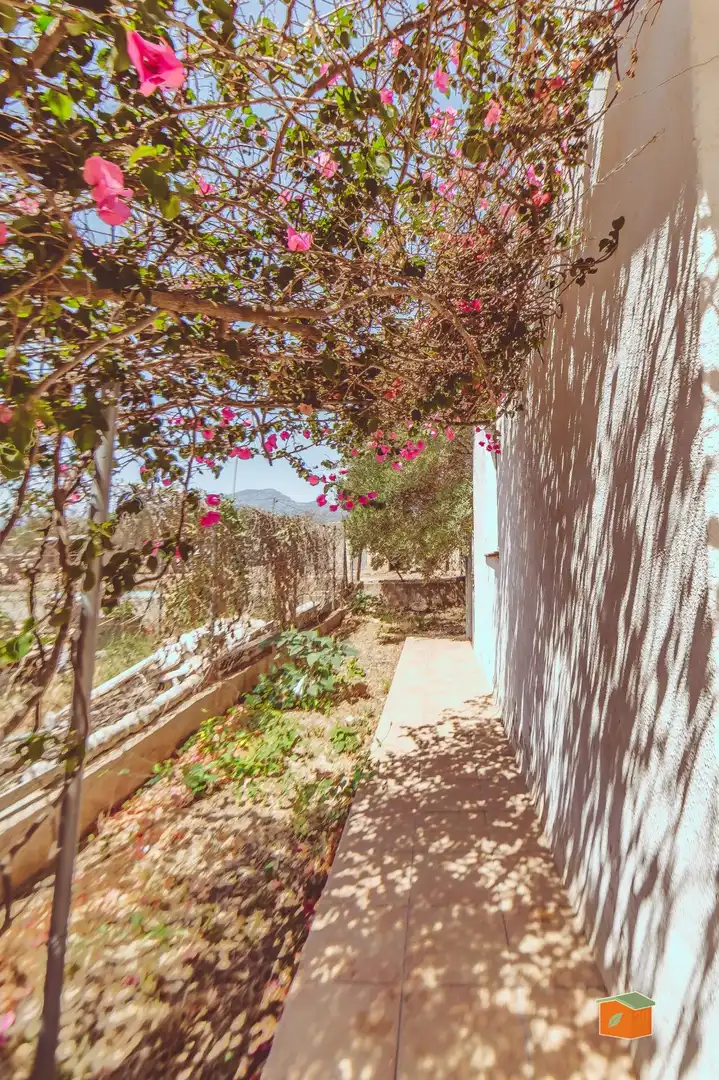 Garden of Country homes for sale in Tortosa  with Private garden, Storage room and Swimming Pool