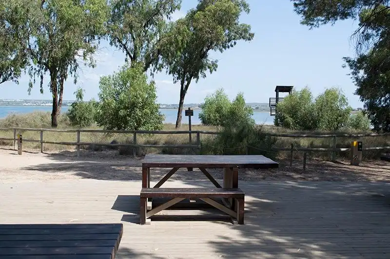 Terraza de Apartamento en venta en Torrevieja con Terraza y Balcón