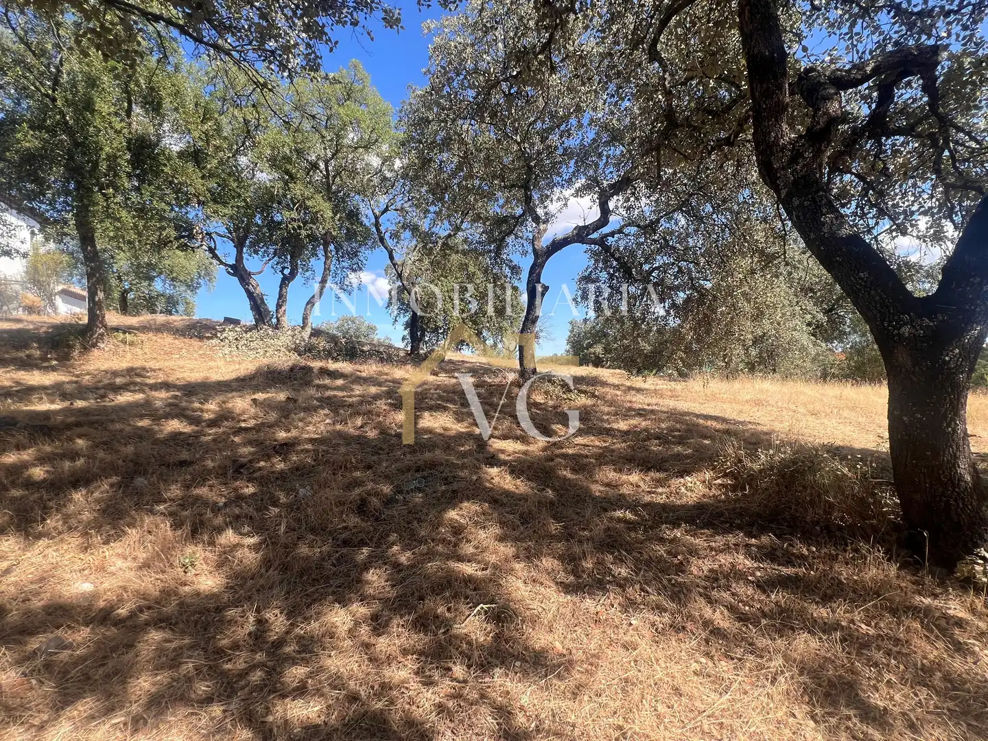 Residential land for sale in Los Lagos, imagen 6