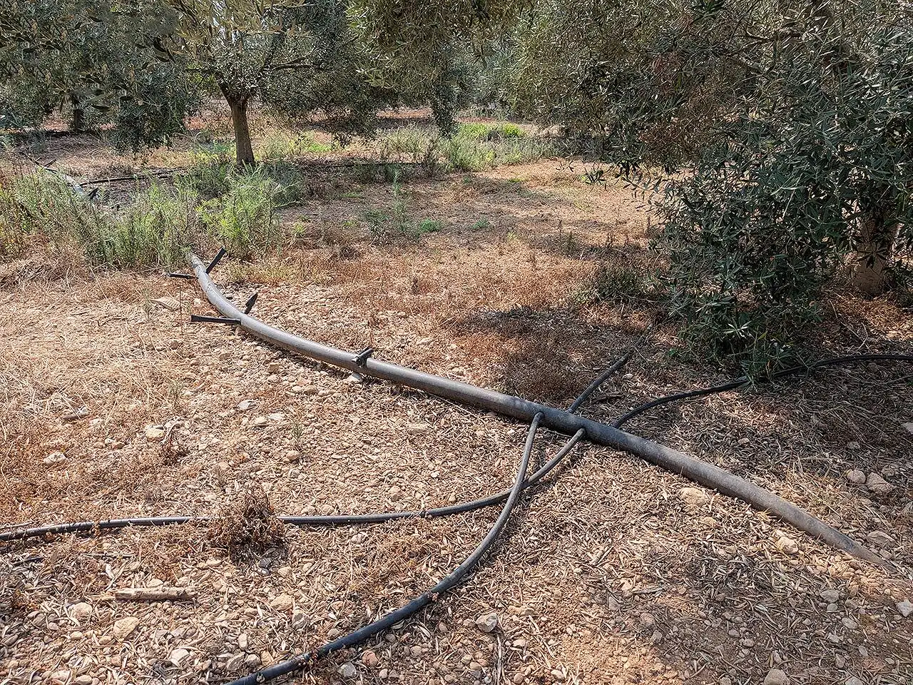 Finca rústica en venda en Vinaròs amb Terrassa i Piscina