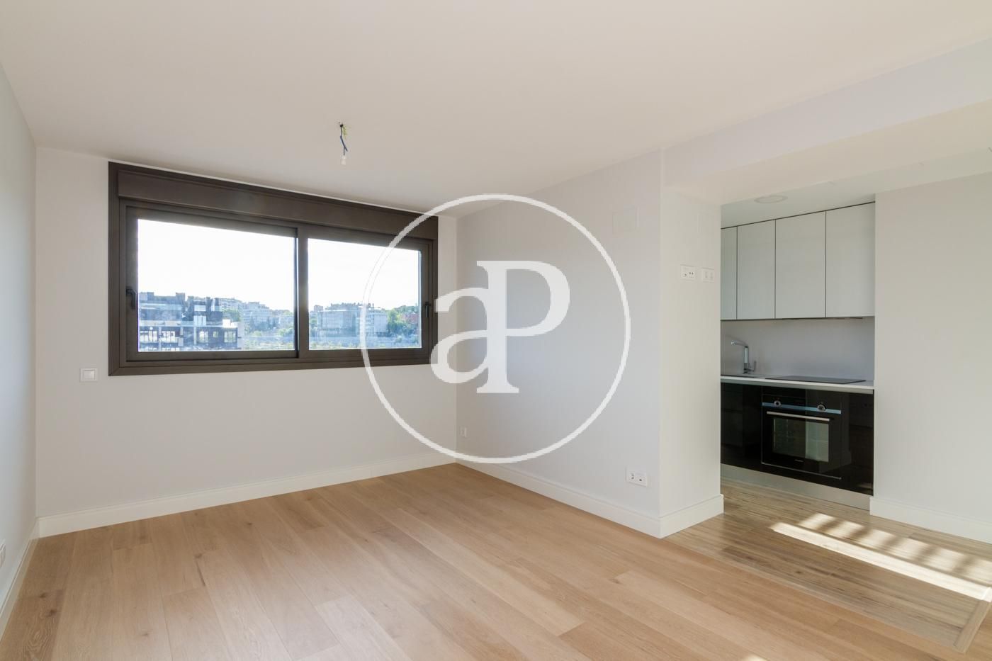 Living room of Flat to rent in  Madrid Capital  with Air Conditioner, Heating and Private garden
