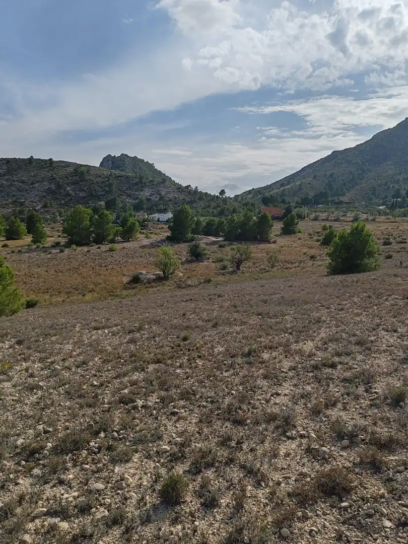 Terreno rustico in vendita a San Crispín - Huerta Nueva-Estación, imagen 17