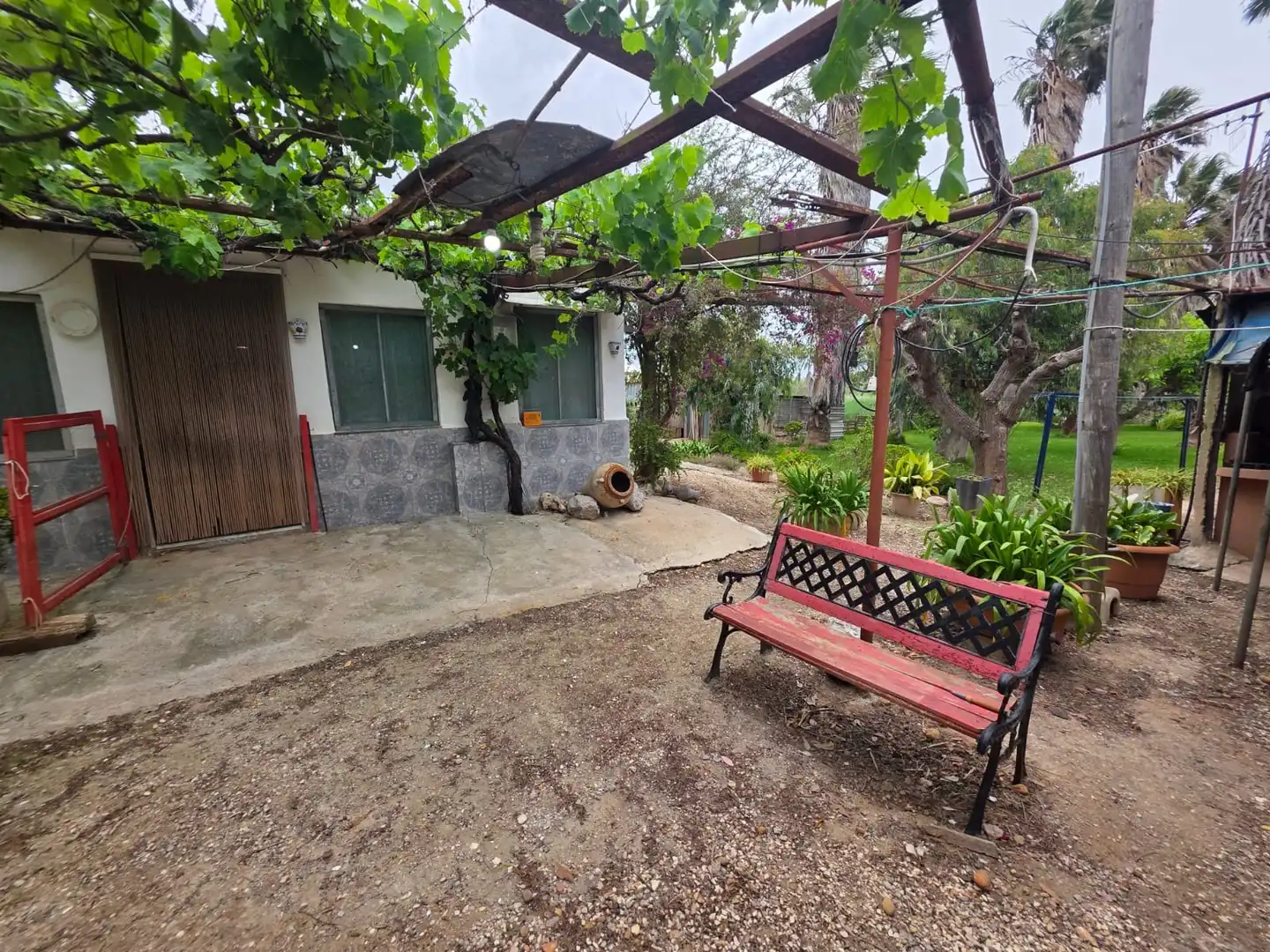 Jardín de Terreno en venta en Amposta