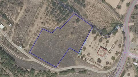 Finca regadío, imagen 3