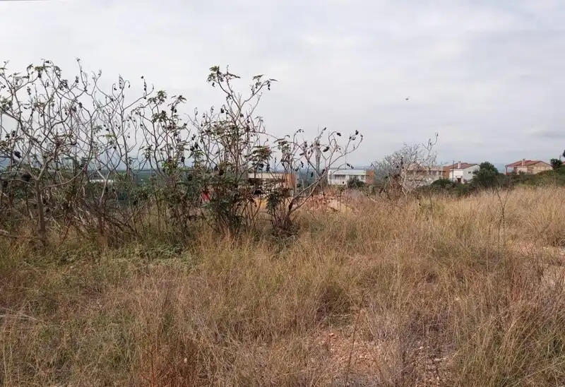 Residential land for sale in ISLAS COLUMBRETES, imagen 12