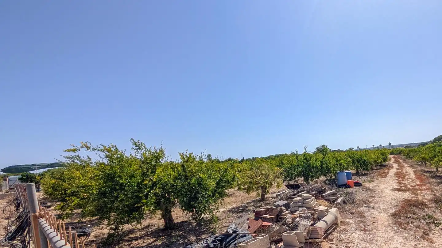 Casa o xalet en venda en Elche / Elx amb Aire condicionat, Jardí privat i Terrassa