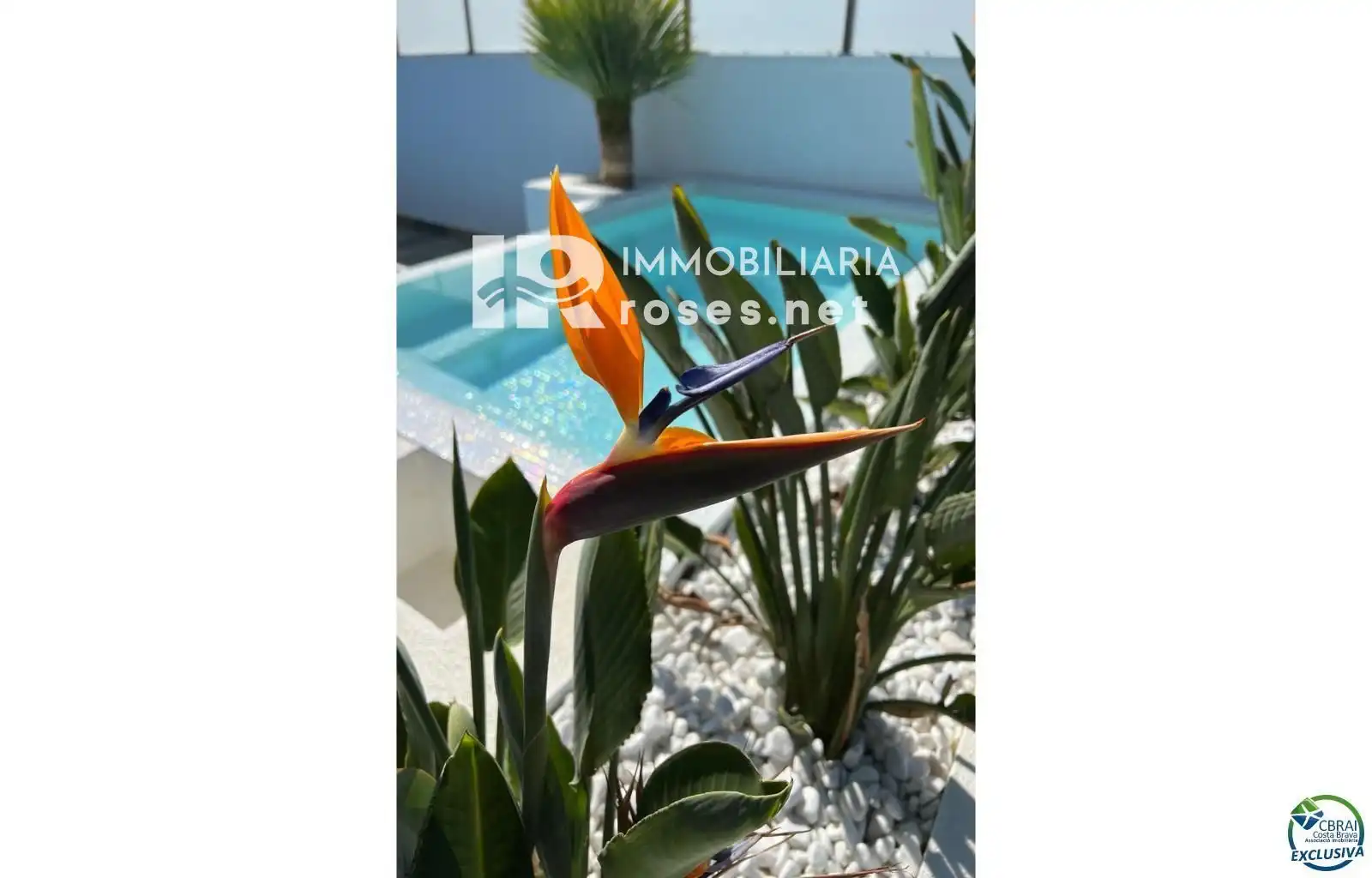 House with pool for sale in Falconera, imagen 15