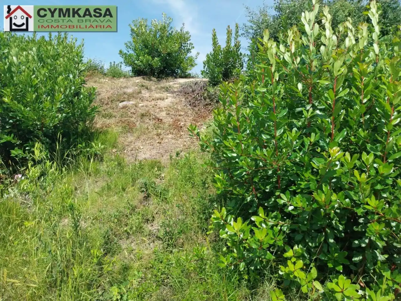 Residential land for sale in Montbarbat, imagen 6
