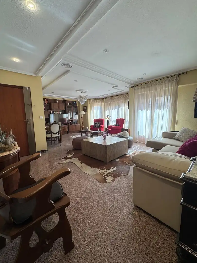 Sala d'estar de Pis en venda en Elche / Elx amb Aire condicionat, Calefacció i Jardí privat
