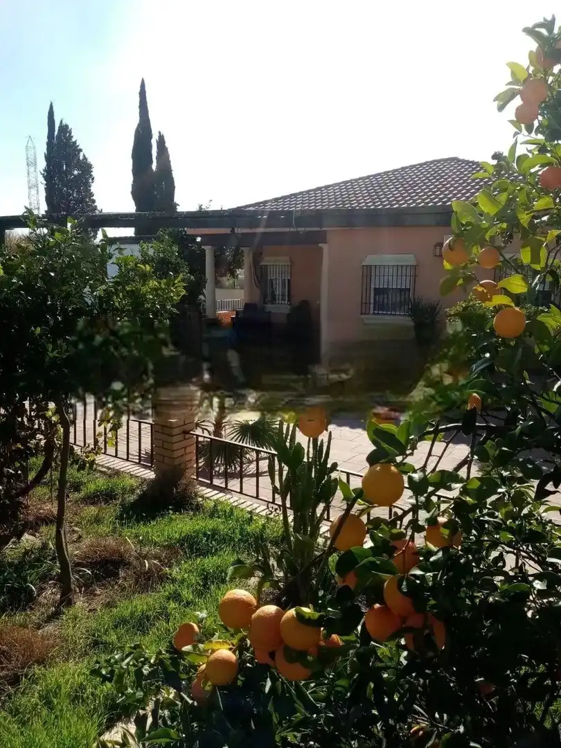 Garden of Houses for sale in  Córdoba Capital  with Air Conditioner, Swimming Pool and Furnished
