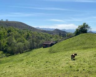 Vista exterior de Casa o xalet en venda en Onís amb Jardí privat