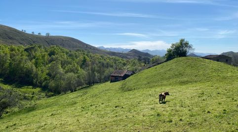 CONJUNTO DE DOS FINCAS CON CUADRA EN ONIS