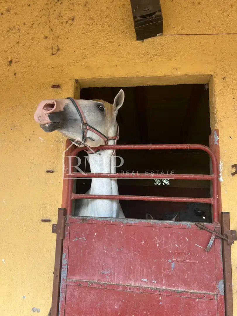 Maison rustique à vendre à Fogars de la Selva, imagen 12