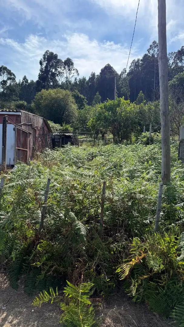 Casa o chalet en venta en Cariño con Alarma