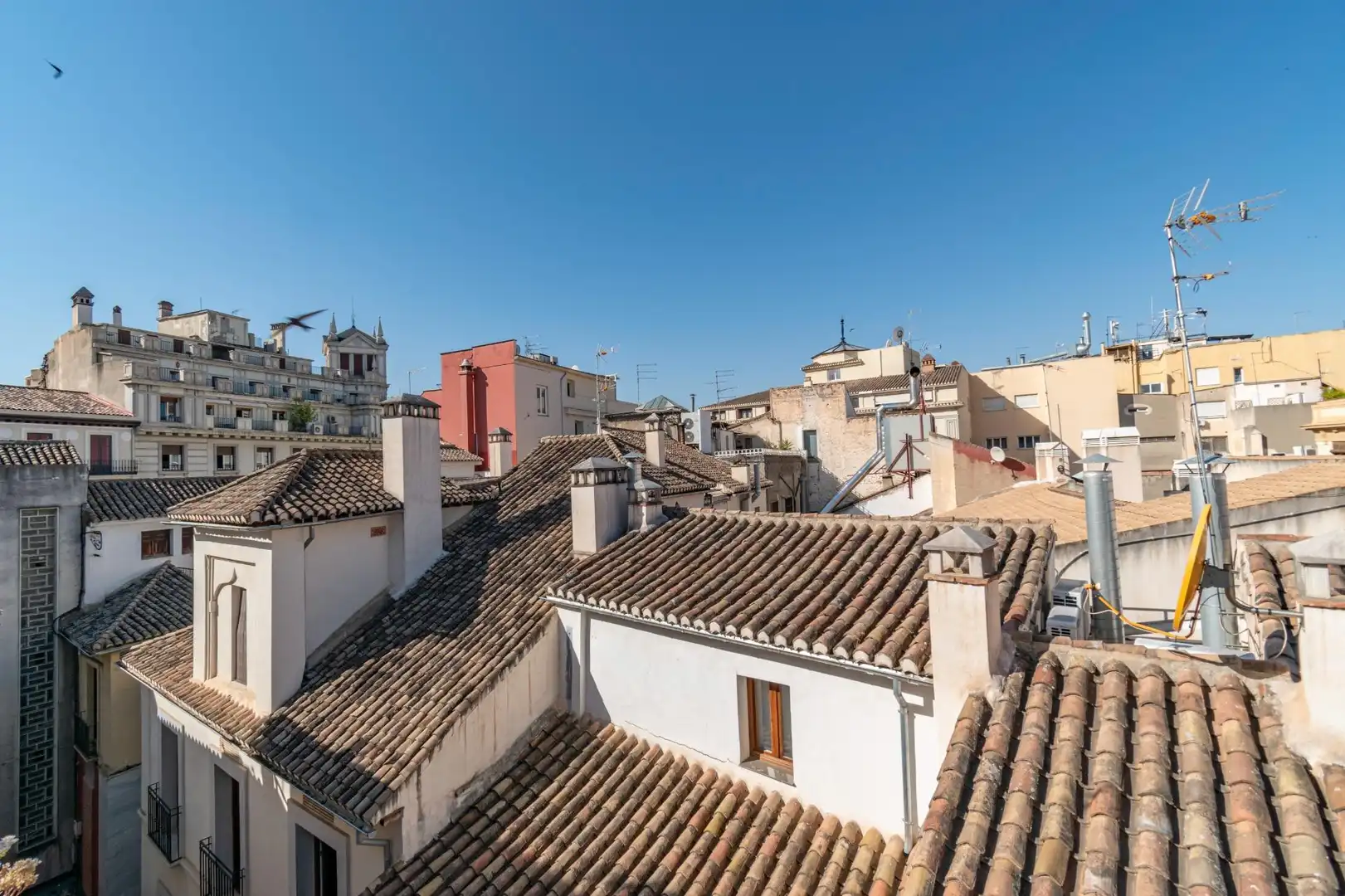 Inmuebles singulares en venta en Centro, imagen 44