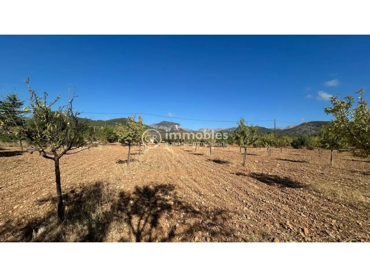 Terreno rustico in vendita a Poligono 14, imagen 11