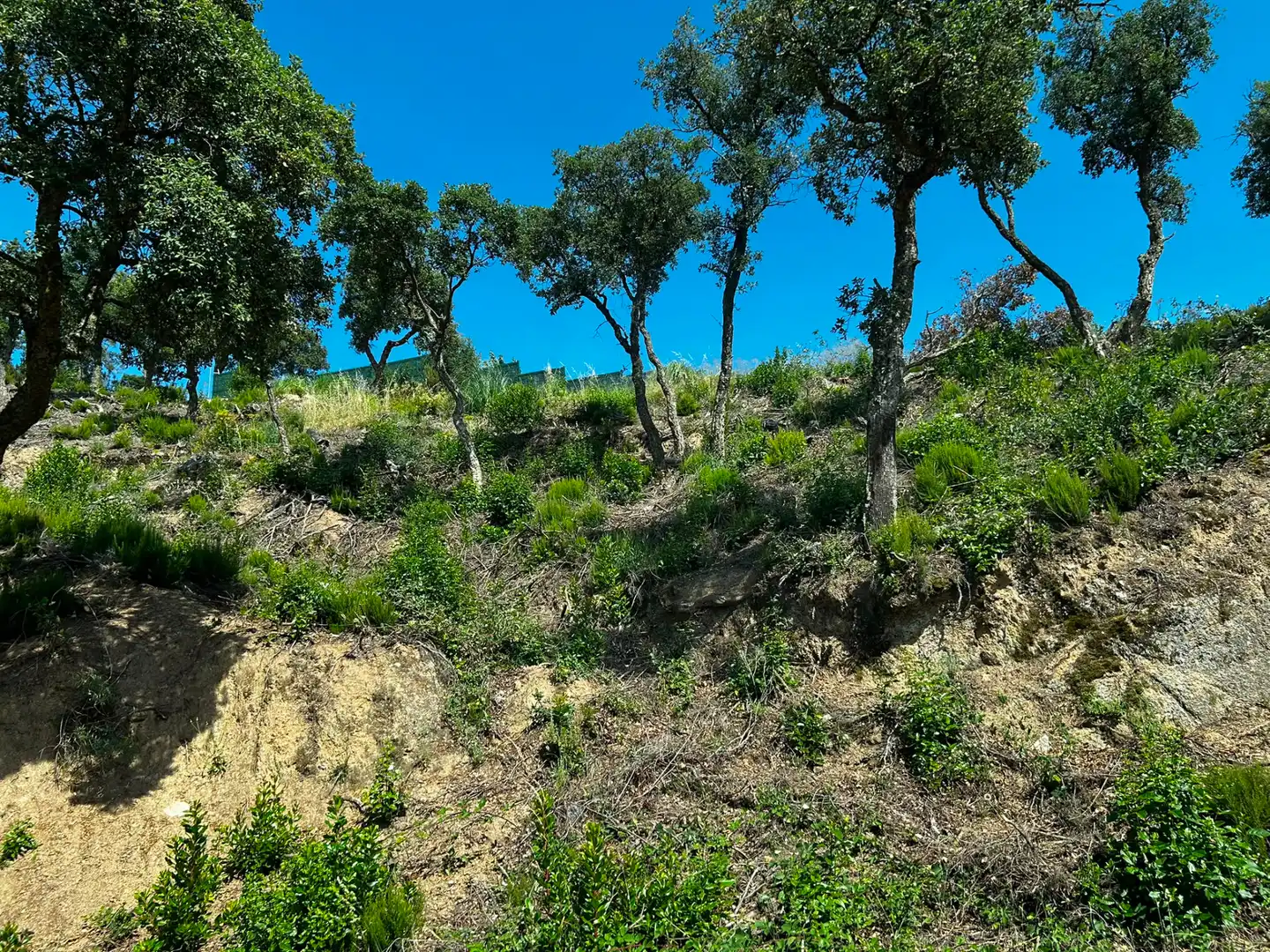 Terreno residencial en venta en Lloret Residencial - Montlloret