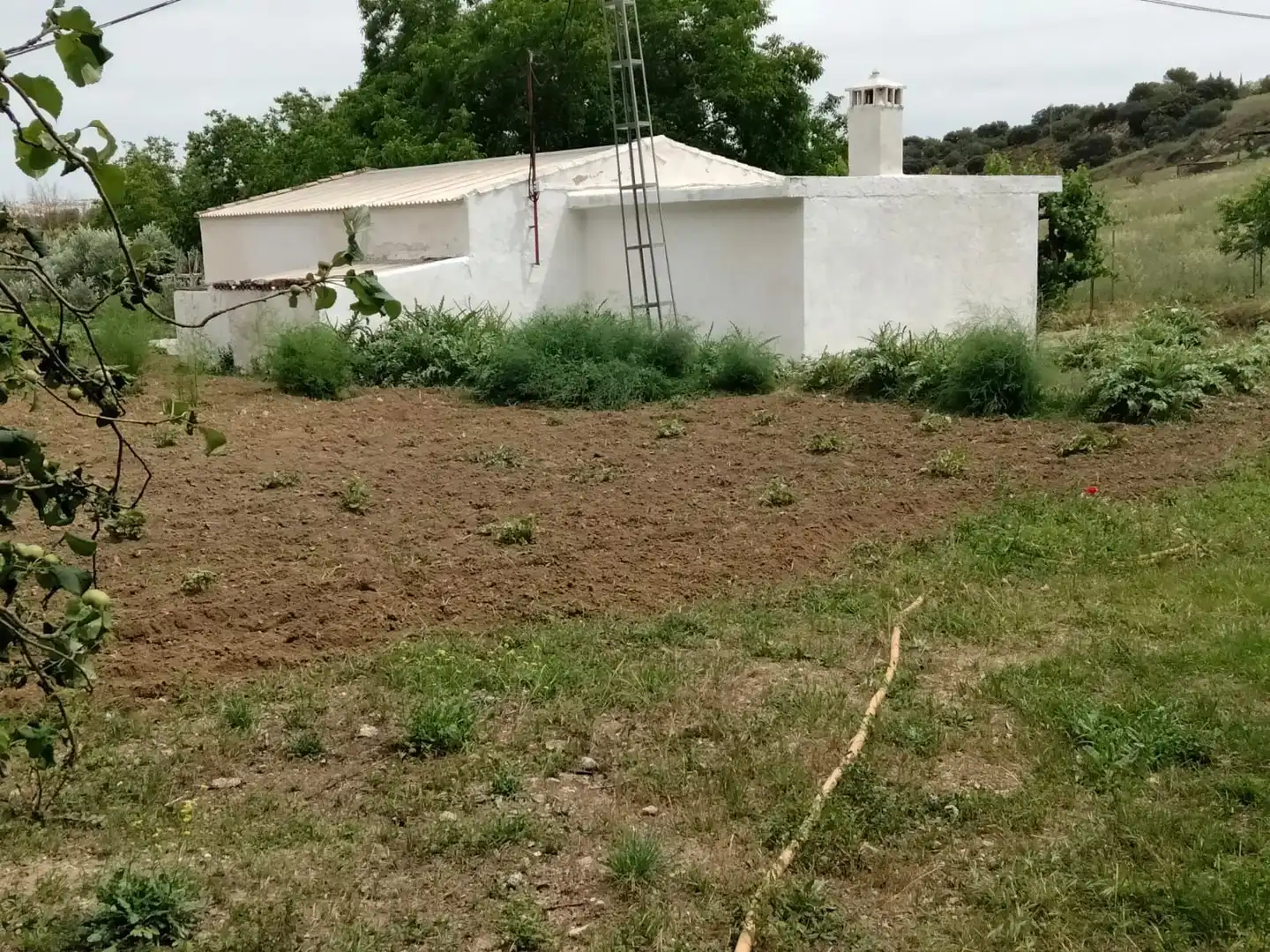 Casa rústica en venta en Partidas Sur, imagen 23