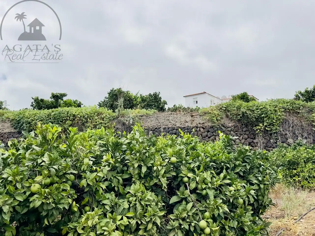 Finca rústica en venta en La Orotava con Jardín privado y Terraza