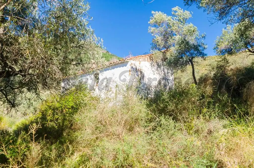 Terreny rústic en venda a Canillas de Albaida