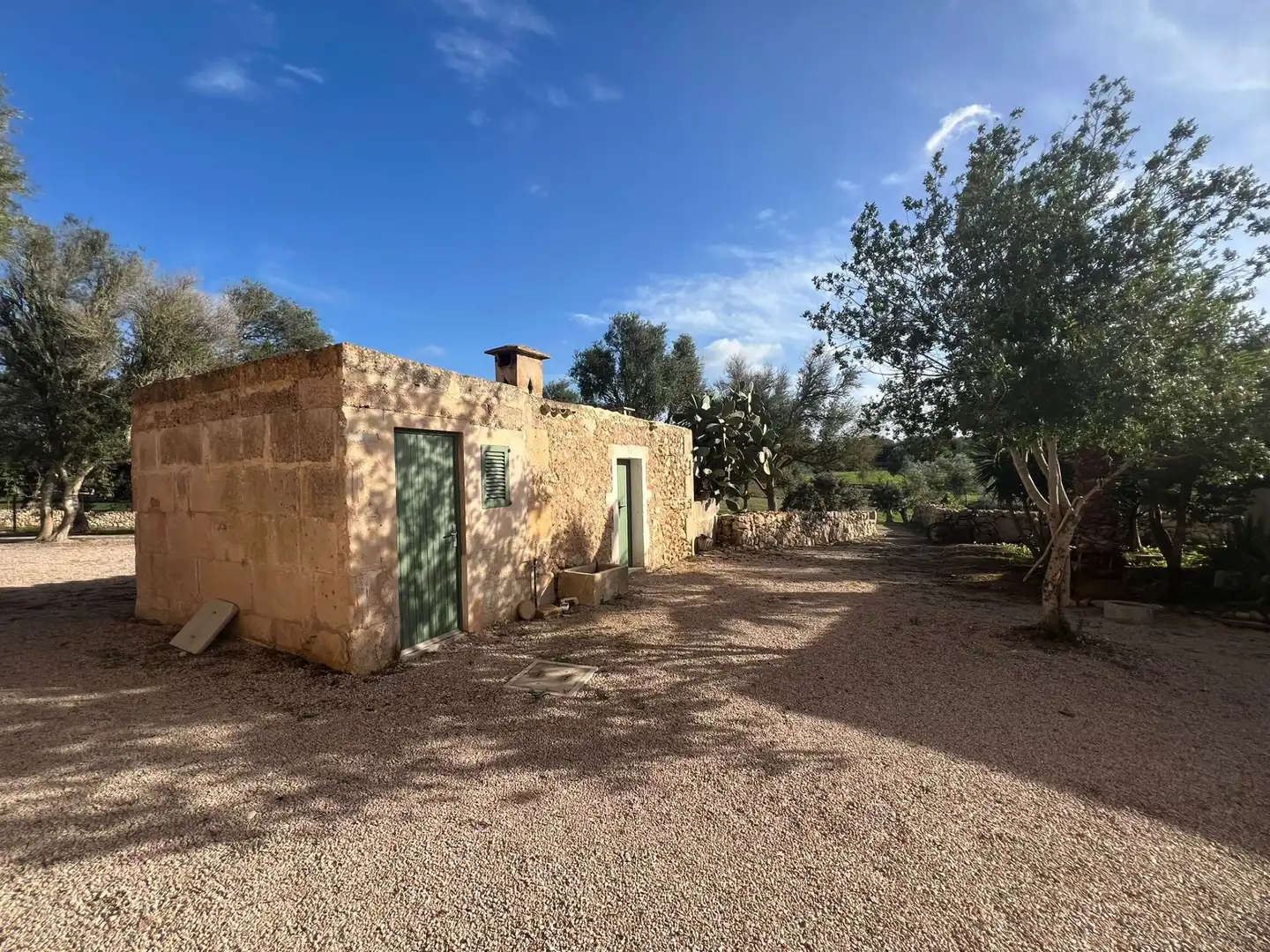 Vista exterior de Finca rústica de lloguer en Felanitx amb Calefacció i Moblat