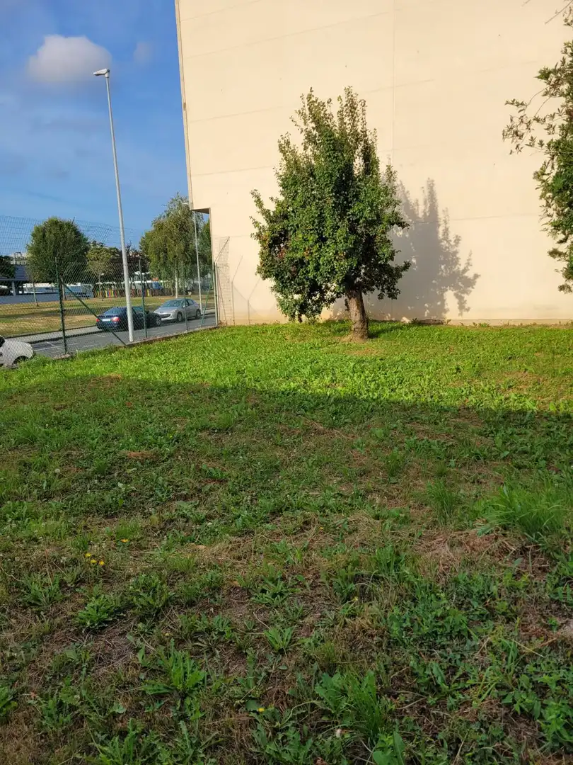 Terreni e lotti in vendita a A Gándara, imagen 3