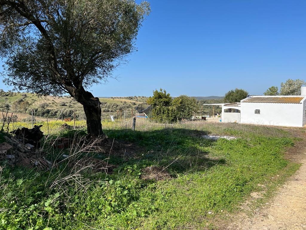 House or chalet for sale in Vejer de la Frontera