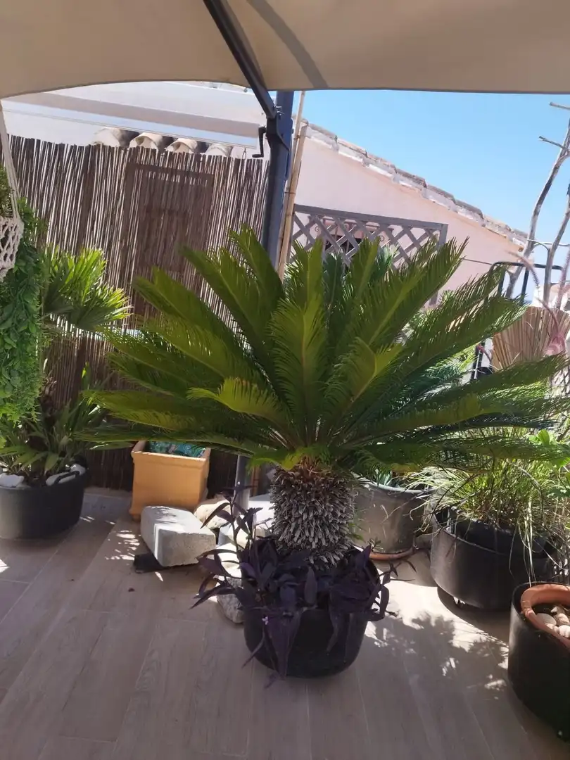 Adossat en venda a Estepona Pueblo, imagen 31