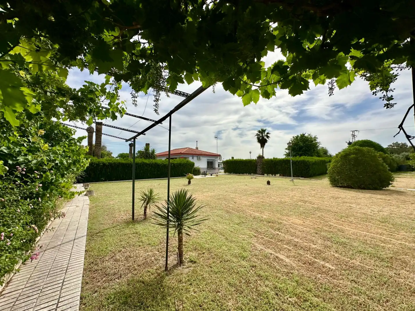 Garden of Houses for sale in Paradas