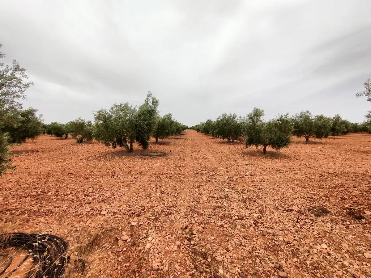 Casa rústica en venda a Valdepeñas, imagen 6