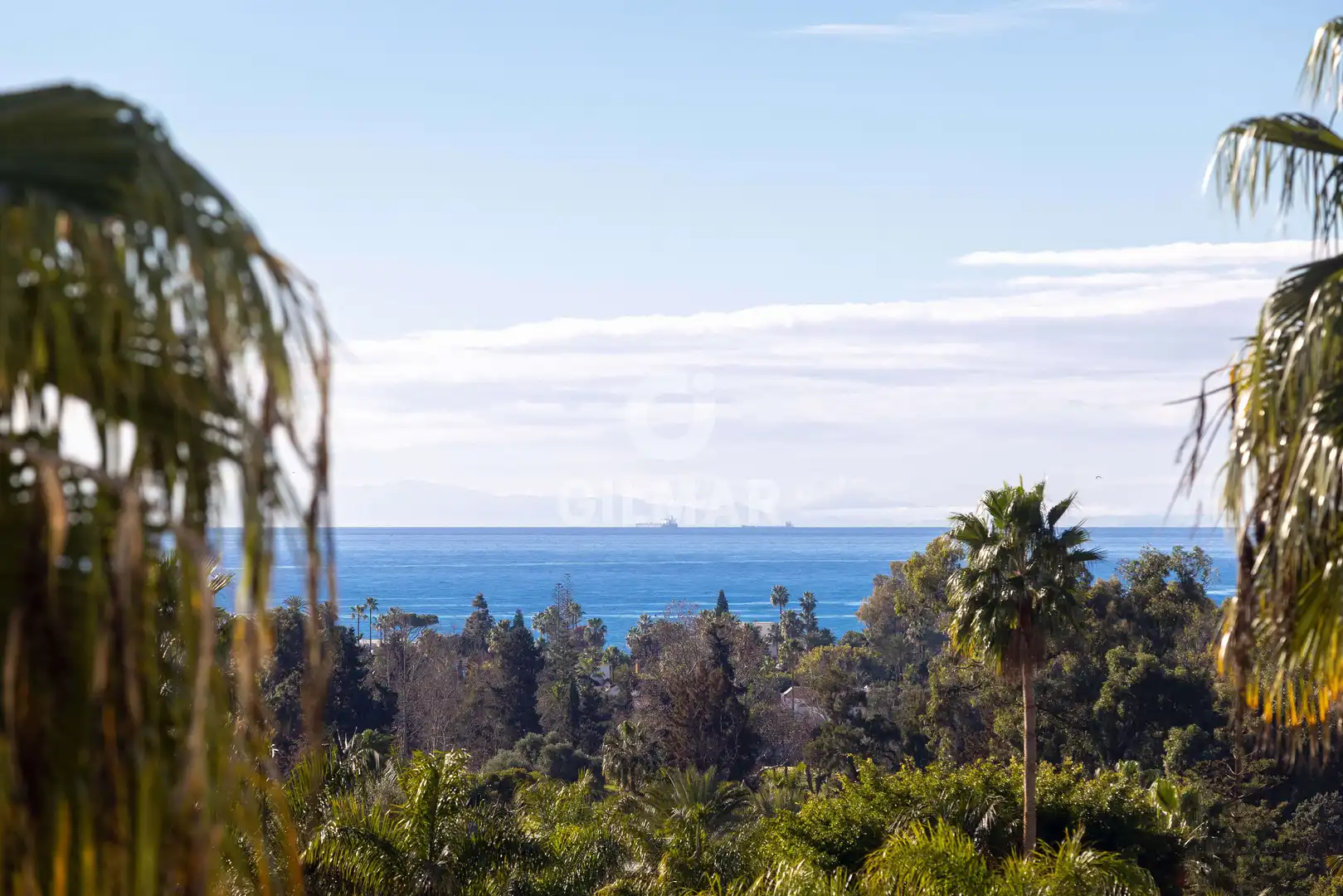 Vista exterior de Apartament en venda en Marbella amb Calefacció, Traster i Piscina