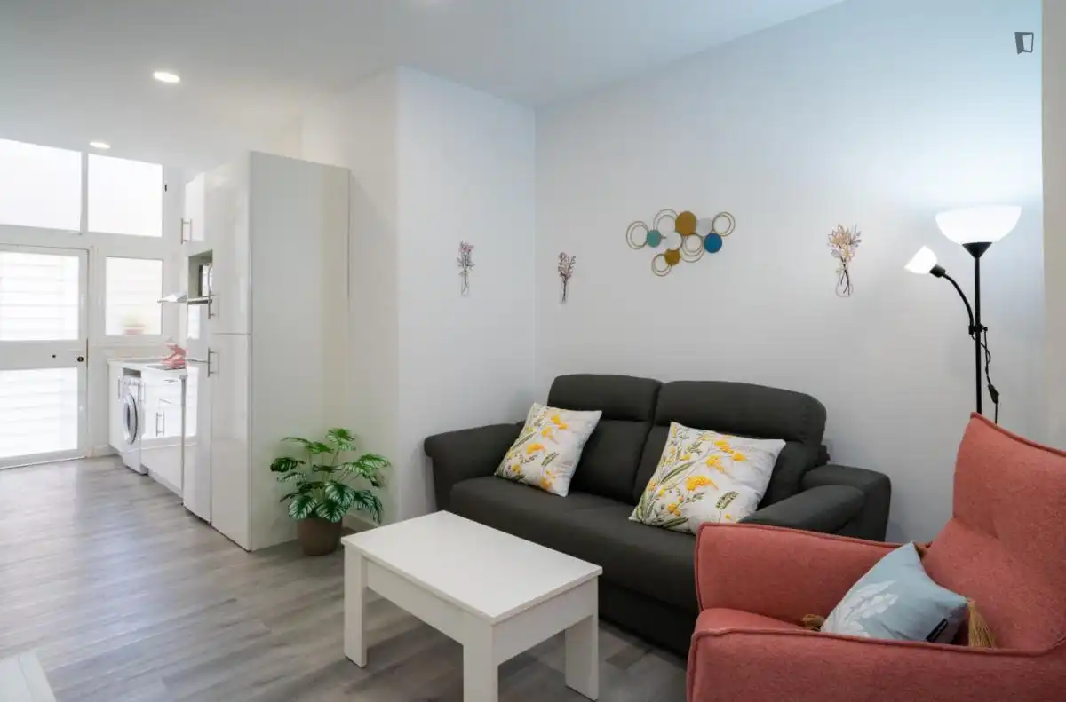 Sala d'estar de Estudi de lloguer en Málaga amb Aire condicionat, Calefacció i Moblat