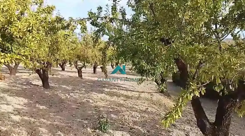 Terreni e lotti in vendita a Torredelcampo, imagen 3
