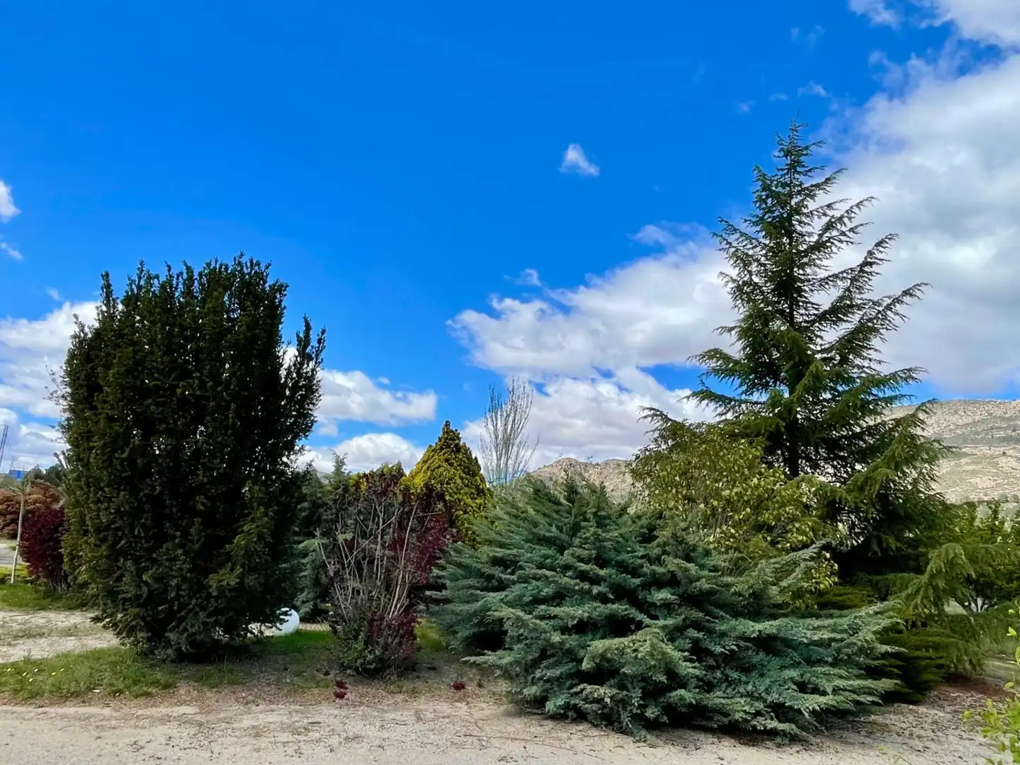 Garden of Houses for rent in Castalla  with Heating, Private garden and Terrace