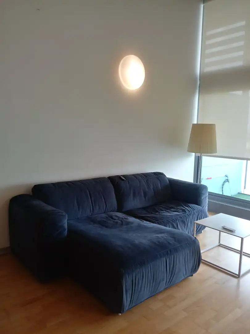Wohnung zur Miete in Barrio de la Luz