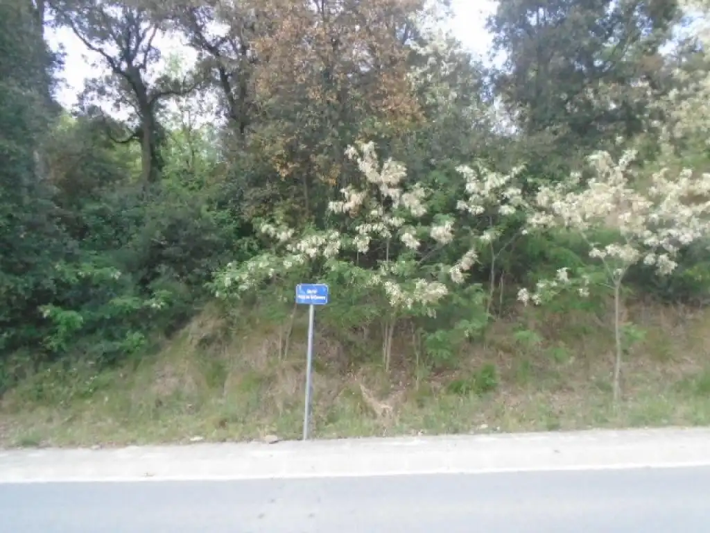 Terreno rustico in vendita a PUIG DE LA CORONA, imagen 4
