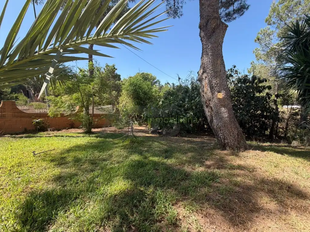 Casa o xalet en venda en Alberic amb Jardí privat, Terrassa i Piscina