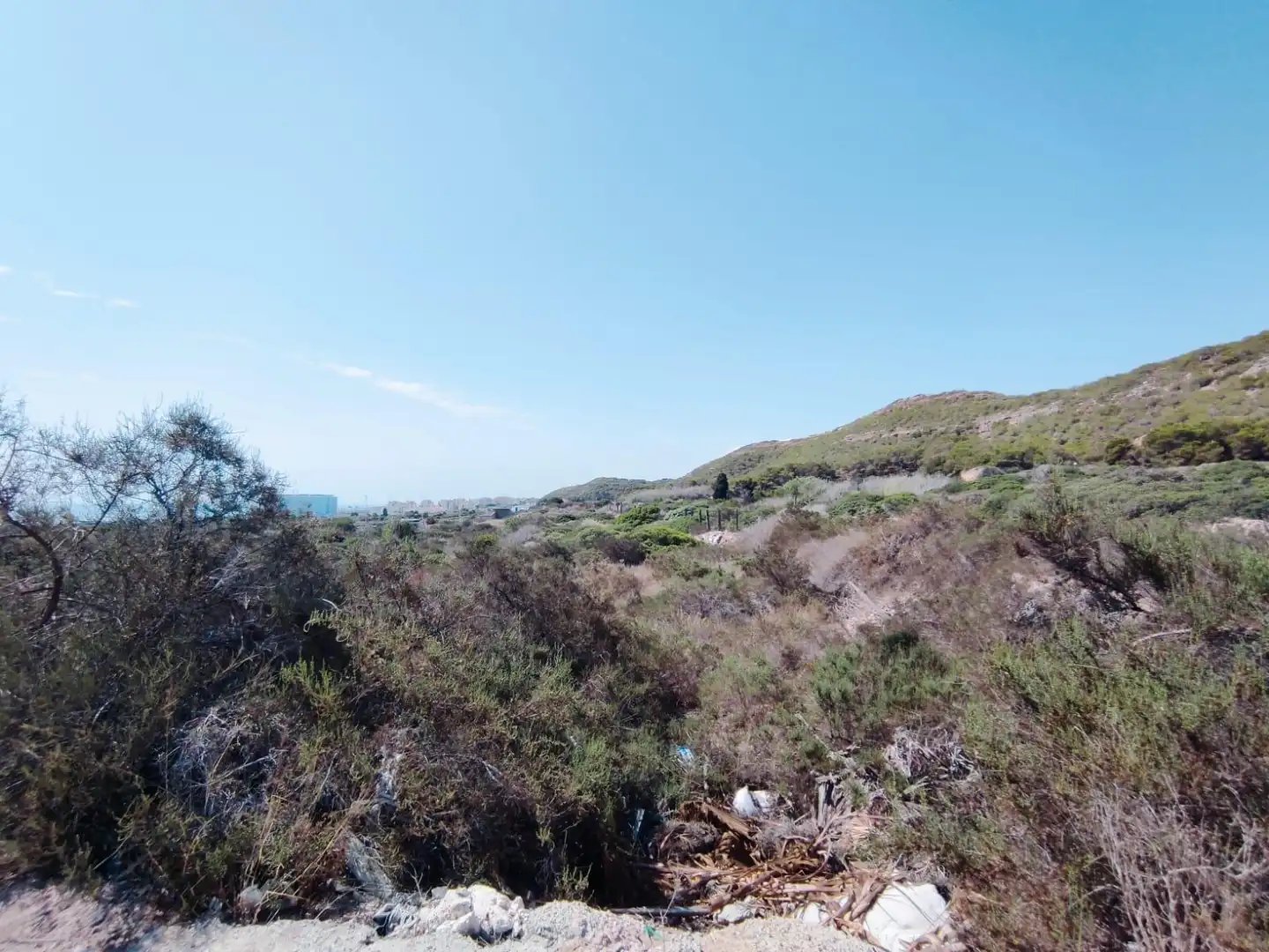 Terreno rustico in vendita a Partida los secanos, imagen 3