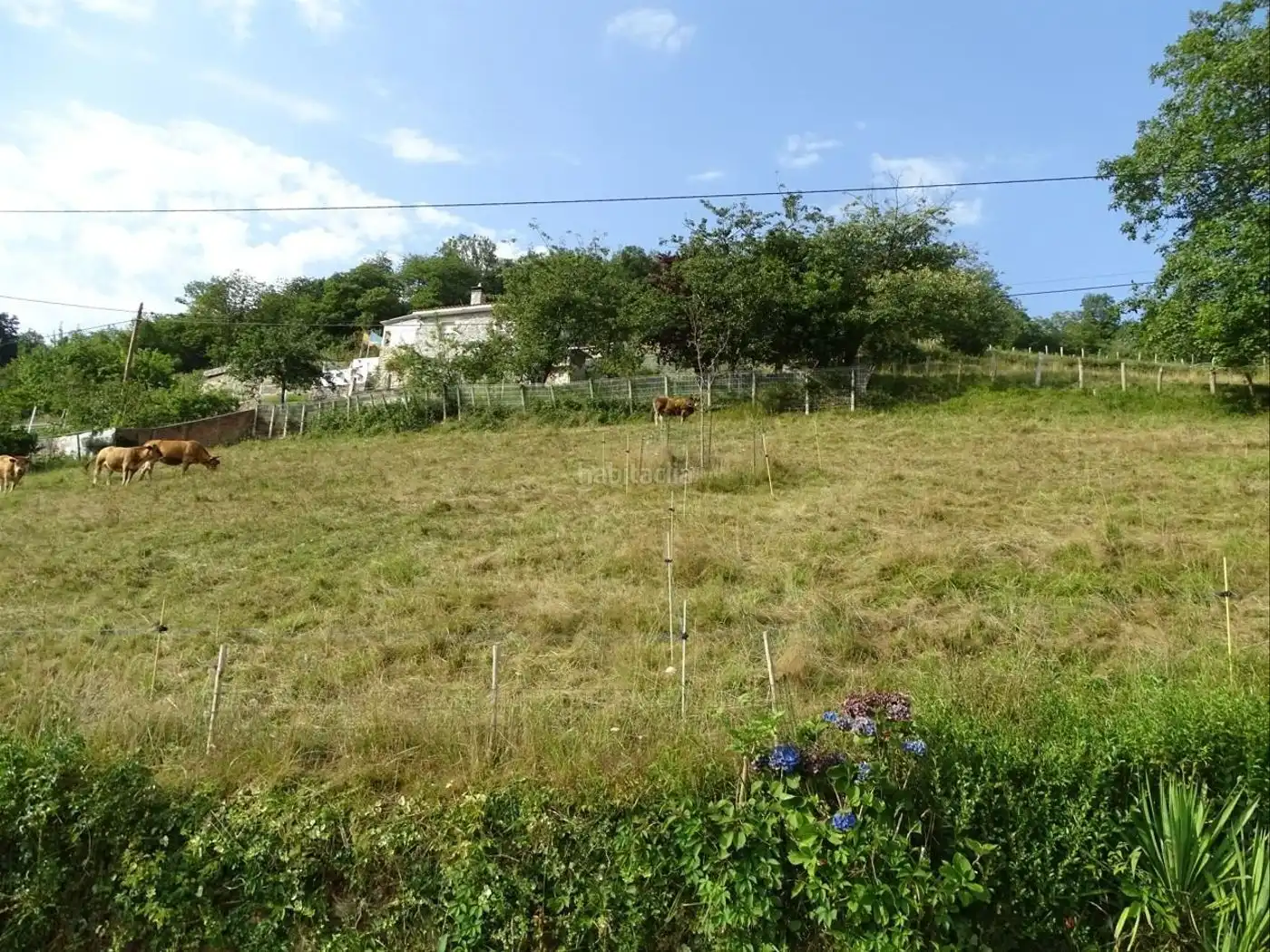 Terreny residencial en venda a Lugar la Presa 3, imagen 4