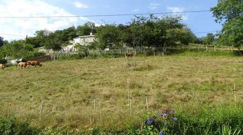 Terreno edificable en Núcleo Rural (NR) – Bimenes, Asturias , immagine 4